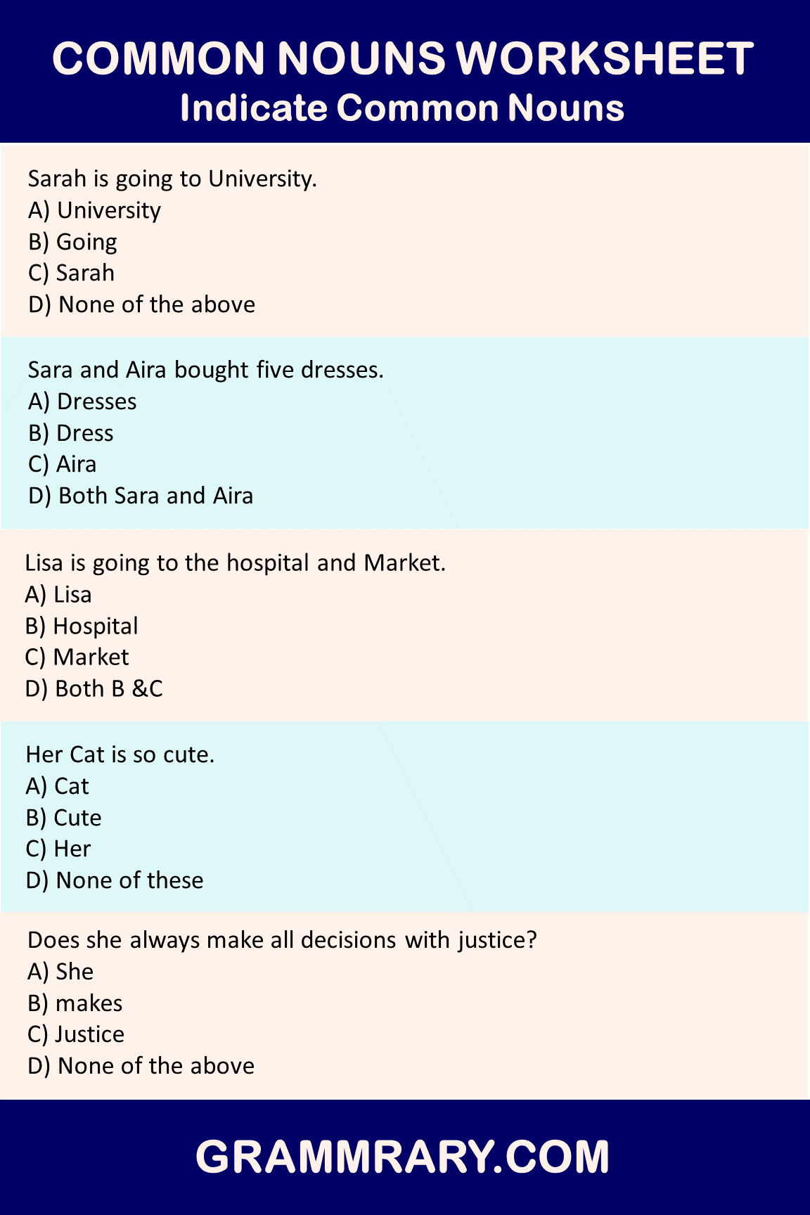 Common Nouns Quiz