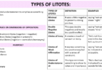 Litotes, Types of Litotes with Definition and Examples