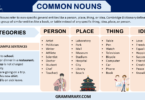 Common Nouns, Definition, Categories, Examples and Usage