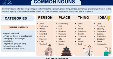 Common Nouns, Definition, Categories, Examples and Usage