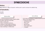 Synecdoche and its Types