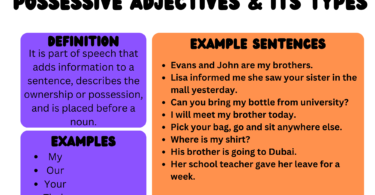 Possessive adjectives