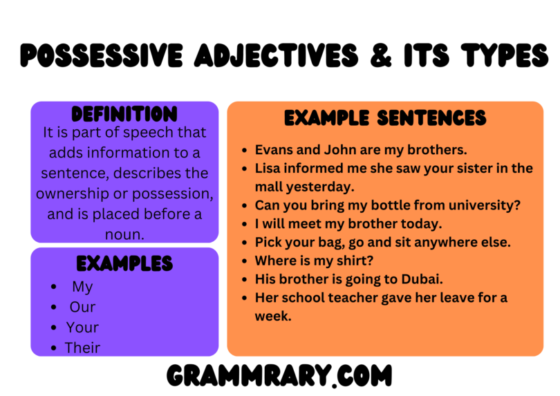 Possessive adjectives