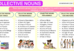 Collective Nouns