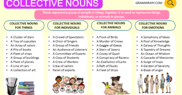 Collective Nouns