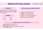 Irregular Plural Nouns