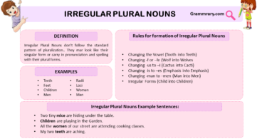 Irregular Plural Nouns