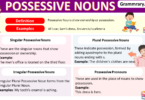 Possessive Nouns