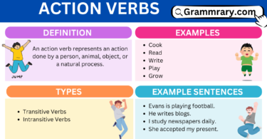 Action Verbs