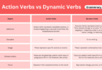 Action Verbs vs Dynamic Verbs