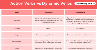 Action Verbs vs Dynamic Verbs