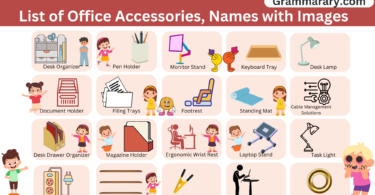 Office Accessories Names with Images