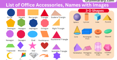 List of All Types of Shapes