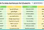 Students Sentences in English To Urdu for Daily use