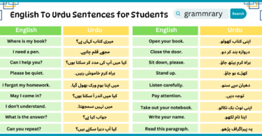 Students Sentences in English To Urdu for Daily use