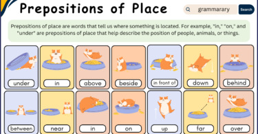 What are Prepositions of Place? Usage and Worksheet
