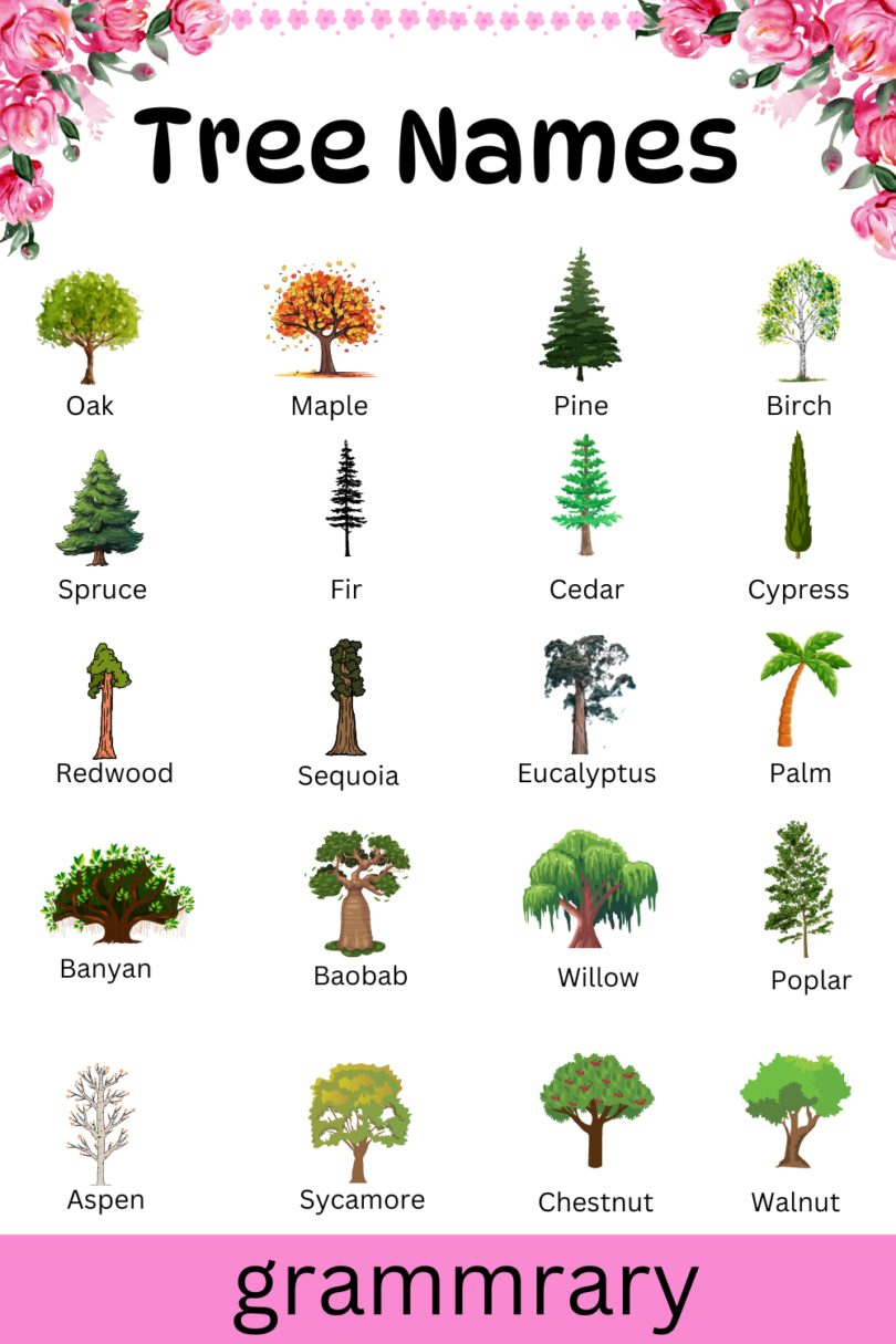 100 Trees Names in English with their Pictures - grammrary.com