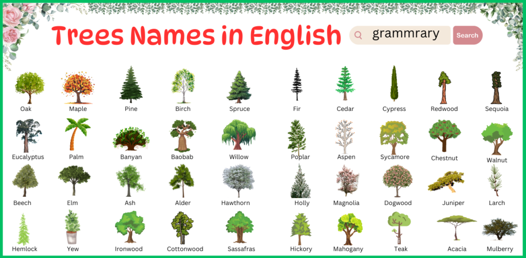 100 Trees Names in English with their Pictures - grammrary.com