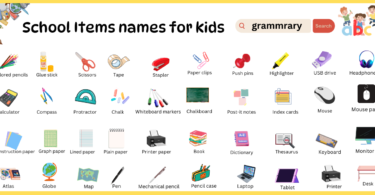 School Items names for kids in English with Pictures