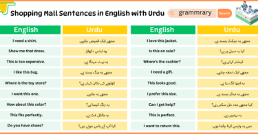 Shopping Mall Sentences in English with Urdu Translation