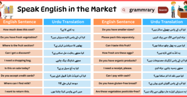 Speak English in the Market | English To Urdu Sentences