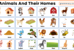 100 Homes Names of Animals in English with Pictures