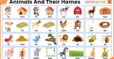 100 Homes Names of Animals in English with Pictures