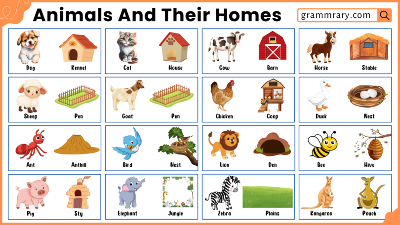 100 Homes Names of Animals in English with Pictures