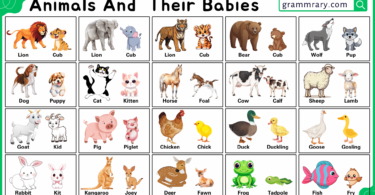 100 Animals and Their Babies Names in English with Pictures