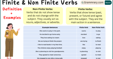 Finite and Non Finite Verbs with Definition and Example Sentences