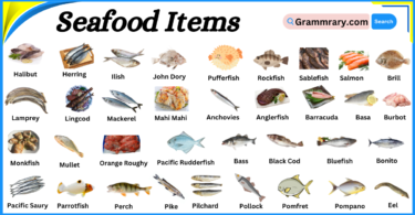 Types of Seafood Items Names in English