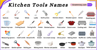 Kitchen Tools names in English and Their Pictures