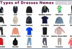 Types of Men Dresses Names in English and their Pictures