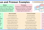 Nouns and Pronouns definition with Examples in English