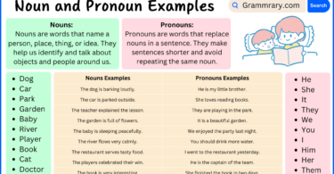 Nouns and Pronouns definition with Examples in English