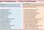 Present Continuous and Past Continuous Tense with Examples