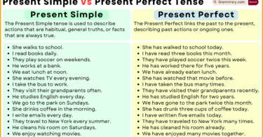 Present Simple vs Present Perfect Tense Examples in English