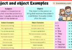 Subject and Object definition and Examples in English