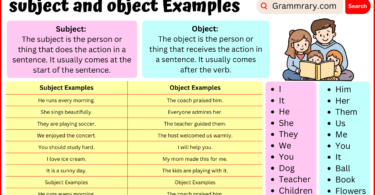 Subject and Object definition and Examples in English