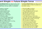 Present Simple vs Future Simple Tense with Example Sentences