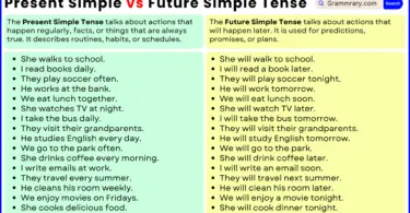 Present Simple vs Future Simple Tense with Example Sentences