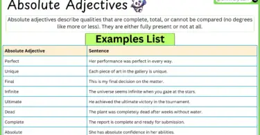 Absolute Adjectives Examples with definition in English Grammar